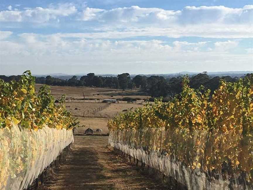 Chanters Ridge, Wineries in Tylden