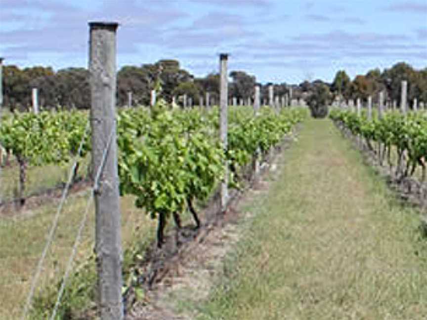 Condie Estate, Heathcote, Victoria