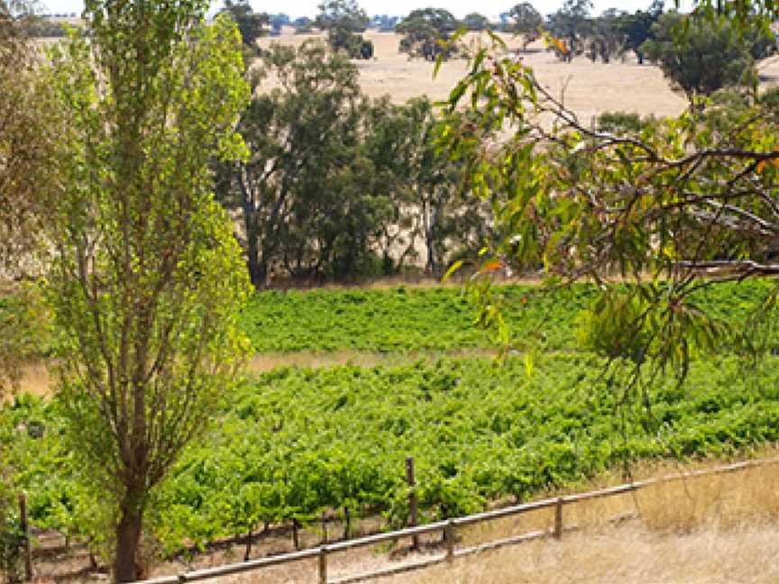 Condie Estate, Wineries in Heathcote