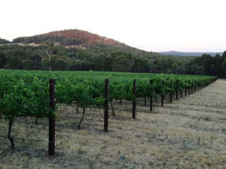 Costanzo & Sons, Strathbogie, Victoria