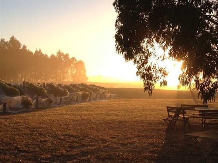 Dinny Goonan, Bambra, Victoria