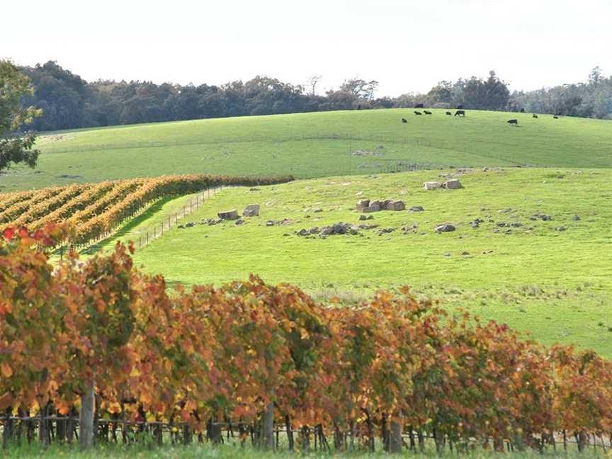 Domenica Wines, Beechworth, Victoria