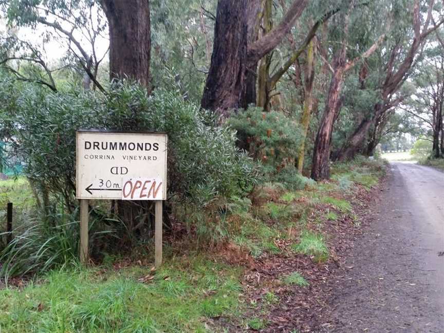 Drummonds Corrina Vineyard, Leongatha South, Victoria