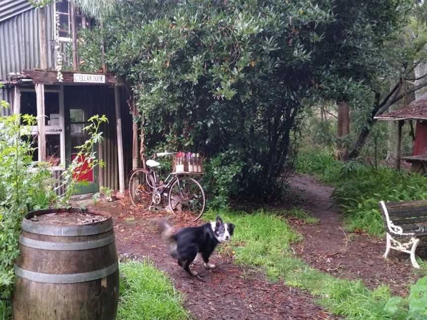 Drummonds Corrina Vineyard, Wineries in Leongatha South