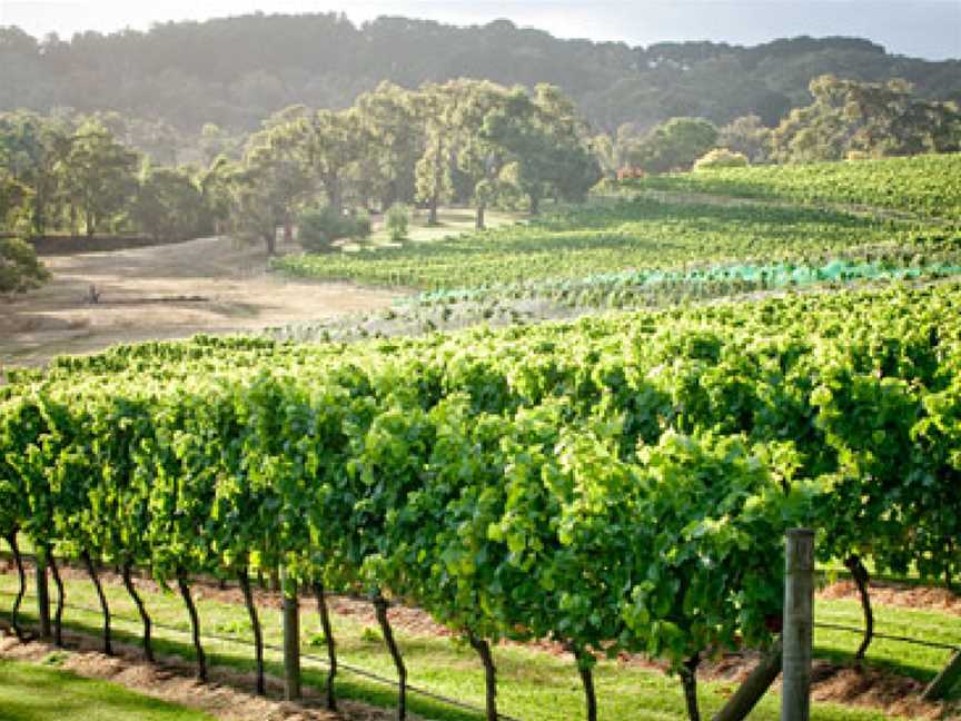 Elgee Park, Wineries in Merricks