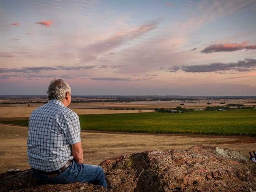 Ellis Wines, Bendigo, Victoria