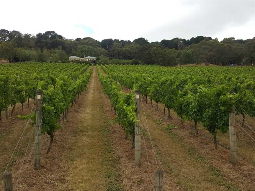 Fenian, Red Hill, Victoria