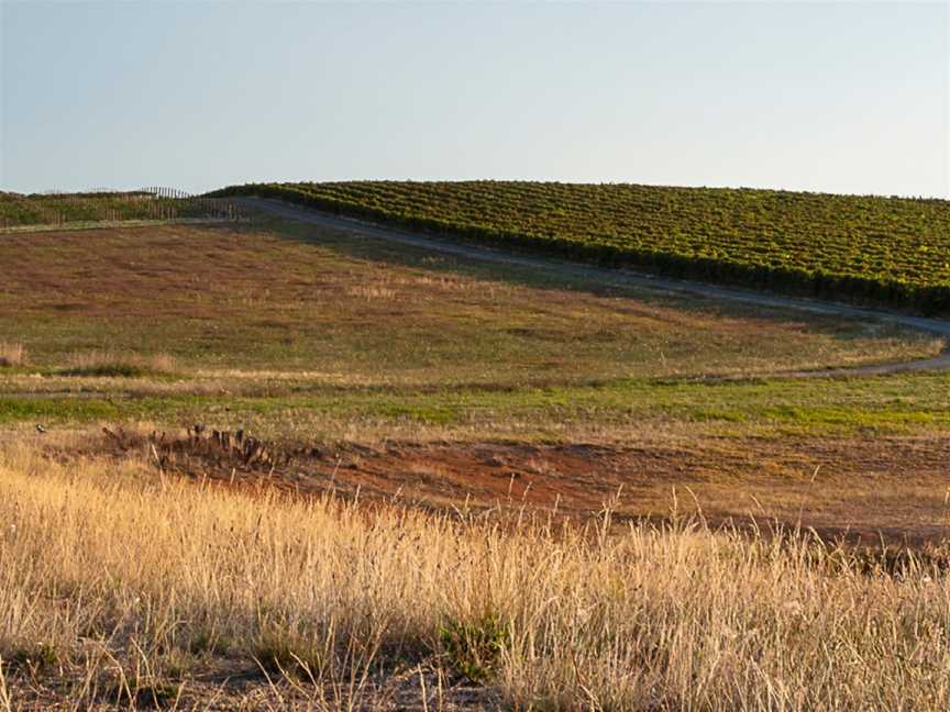 Fighting Gully Road, Wineries in Beechworth