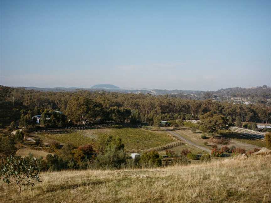 Guildford Vineyard, Guildford, Victoria