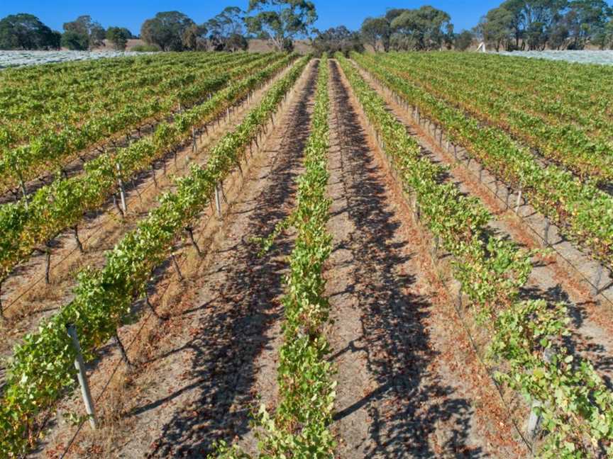 Henty Estate, Hamilton, Victoria