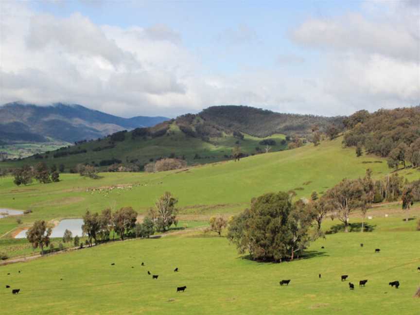 Jamsheed, Wineries in Preston