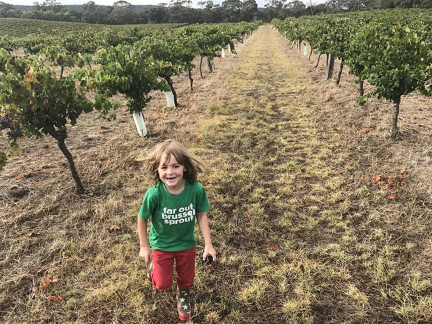 Jasper Hill, Heathcote, Victoria