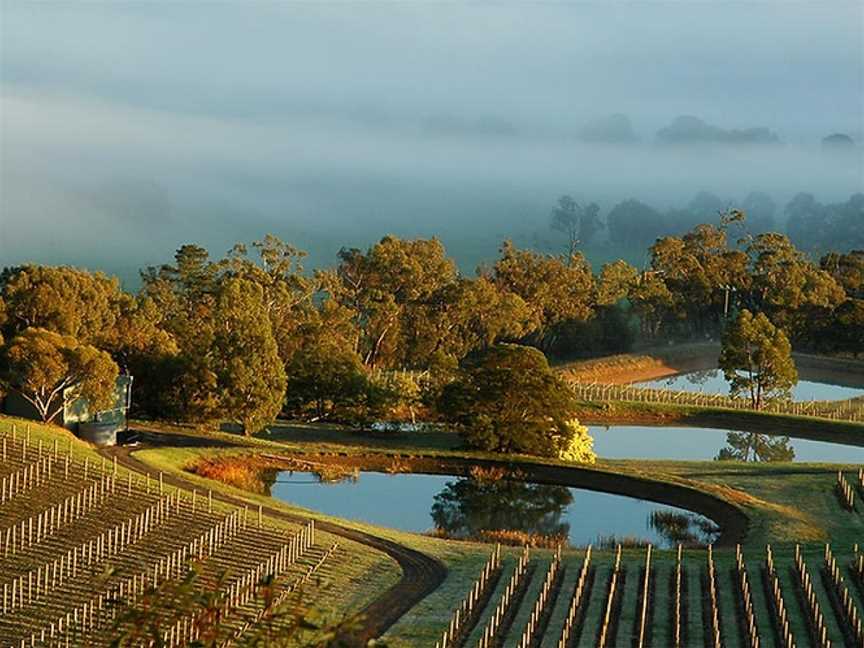 Kensington Wines, Wineries in Whiteheads Creek