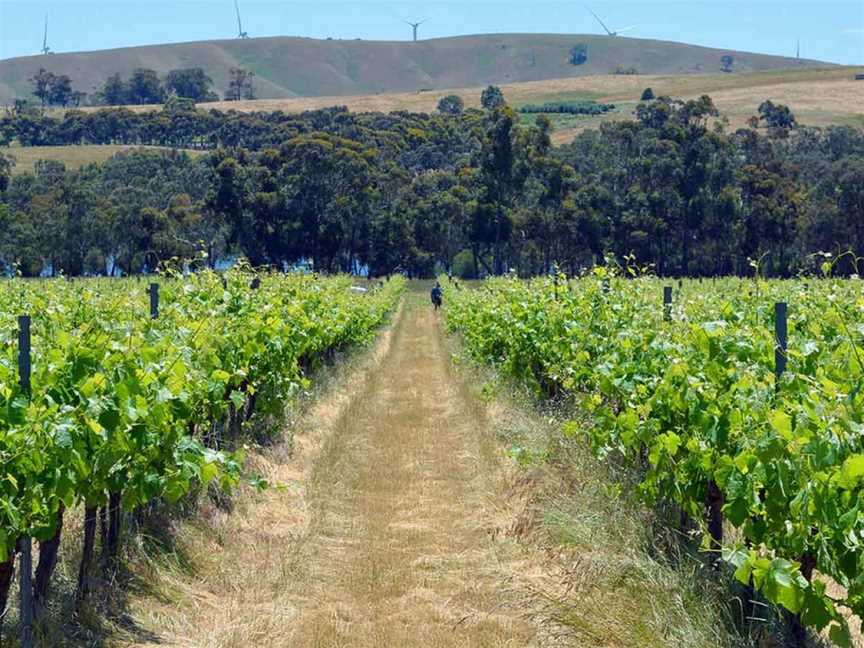 Kimbarra Wines, Wineries in Ararat