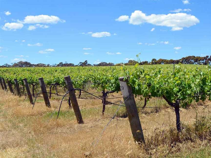 Kimbarra Wines, Ararat, Victoria