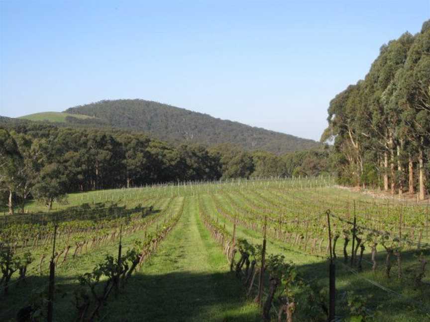 Lane's End Vineyard, Wineries in Lancefield