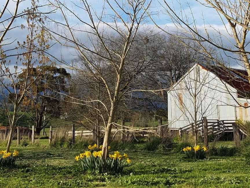 Maddens Rise Wines, Coldstream, Victoria