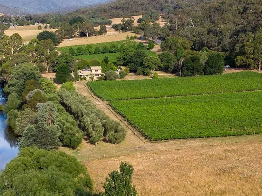 Mount Terrible, Wineries in Jamieson