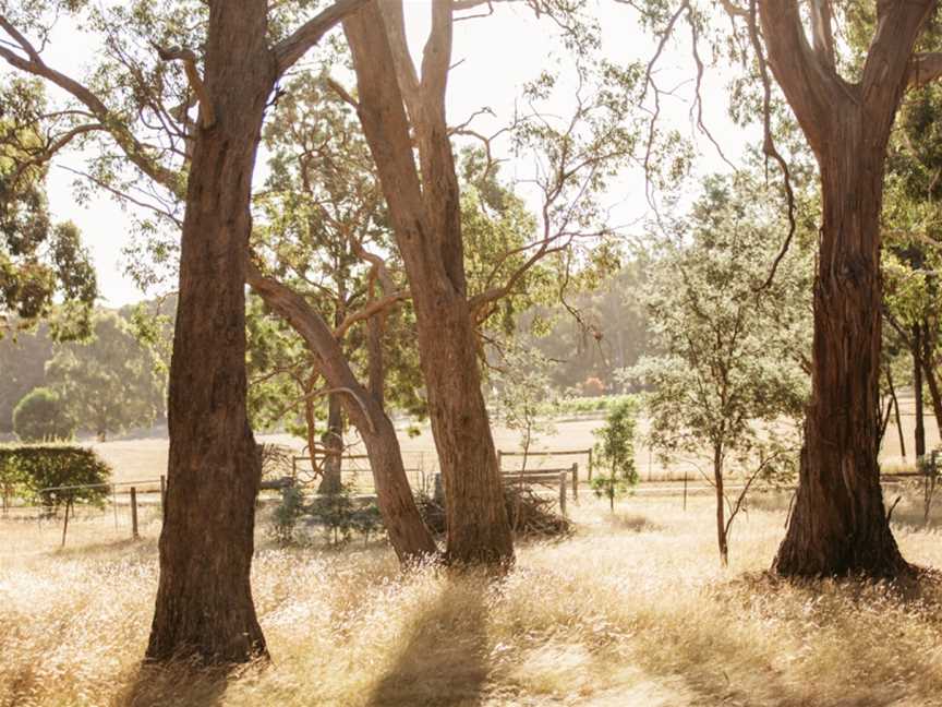 Paramoor Winery, Carlsruhe, Victoria