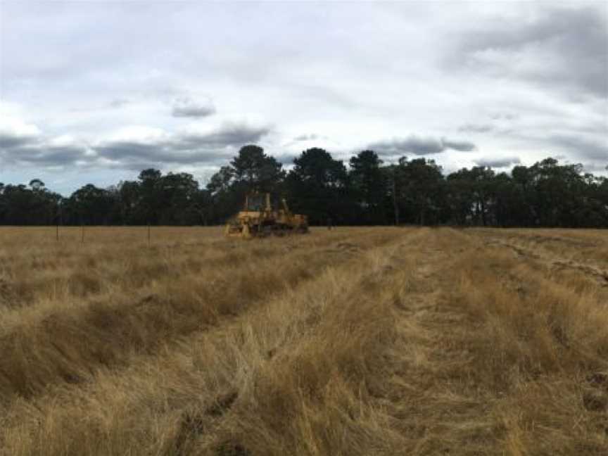 Pondalowie Vineyards, Bambra, Victoria