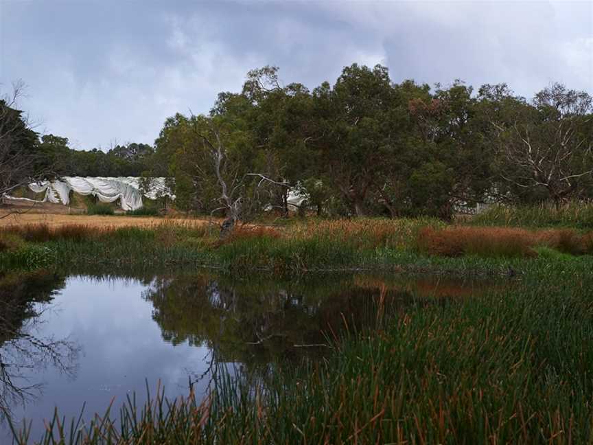 Port Phillip Estate, Red Hill, Victoria