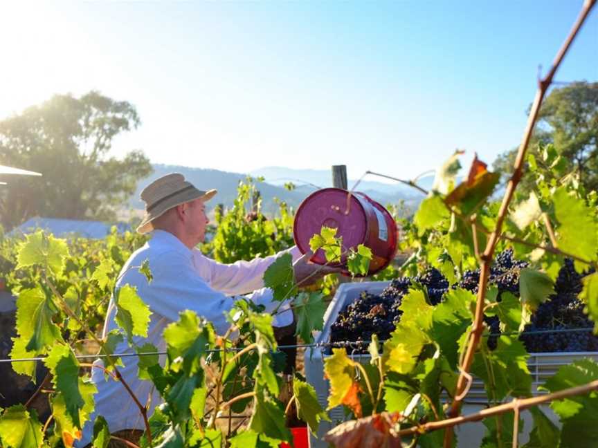 Red Feet Wines, King Valley, Victoria