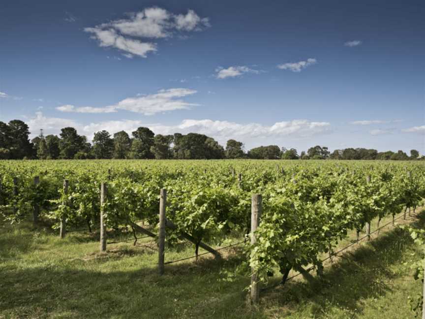 Shadowfax Winery, Werribee, Victoria