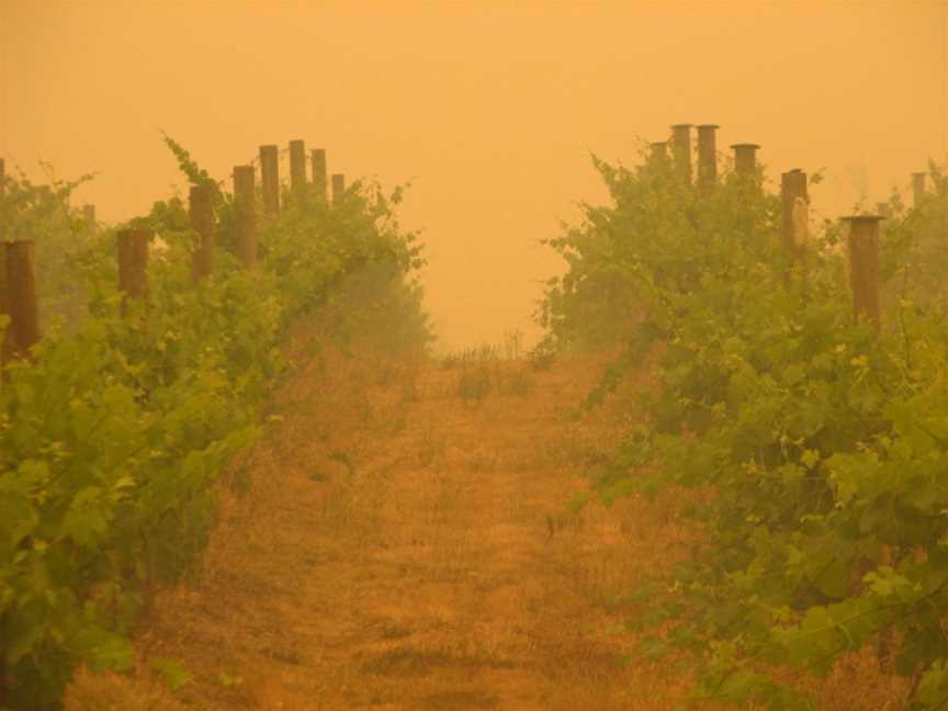 Snobs Creek Wines, Toolleen, Victoria