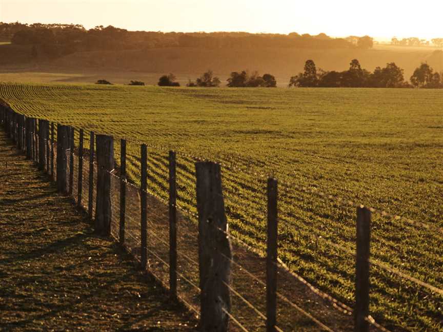 Spence, Wineries in Murgheboluc