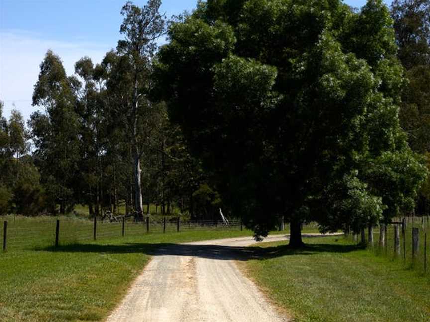 Squitchy Lane Vineyard, Coldstream, Victoria