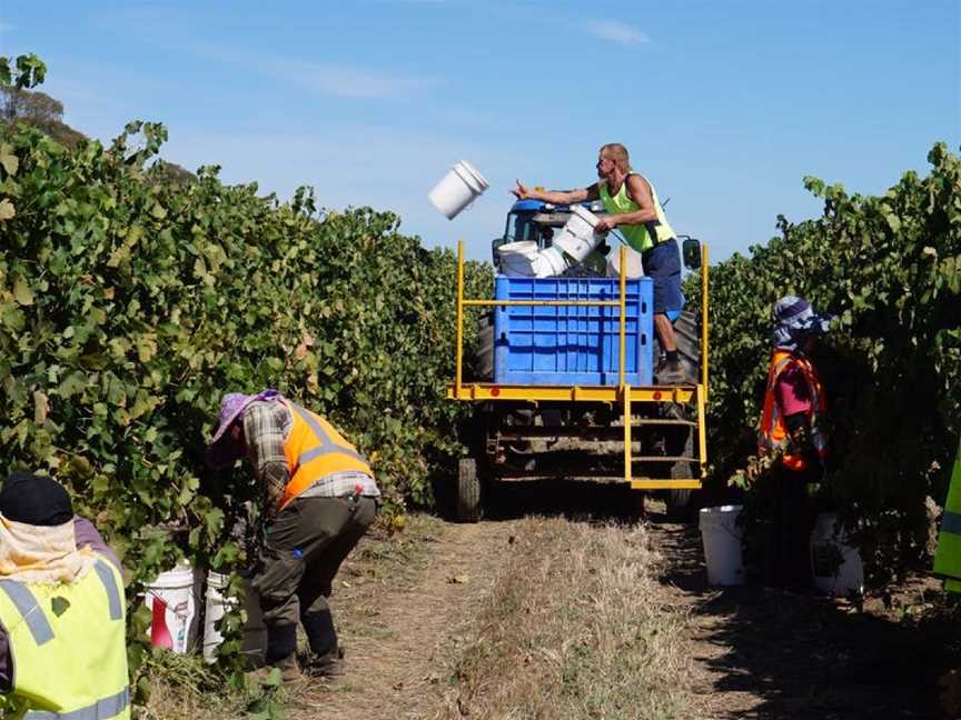 Stanton & Killeen Wines, Wineries in Rutherglen