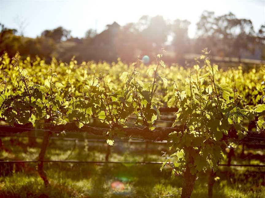 Sutherland Estate, Dixons Creek, Victoria