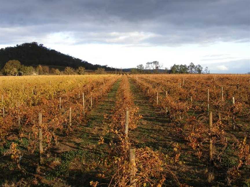 Taminick Cellars, Wineries in Taminick