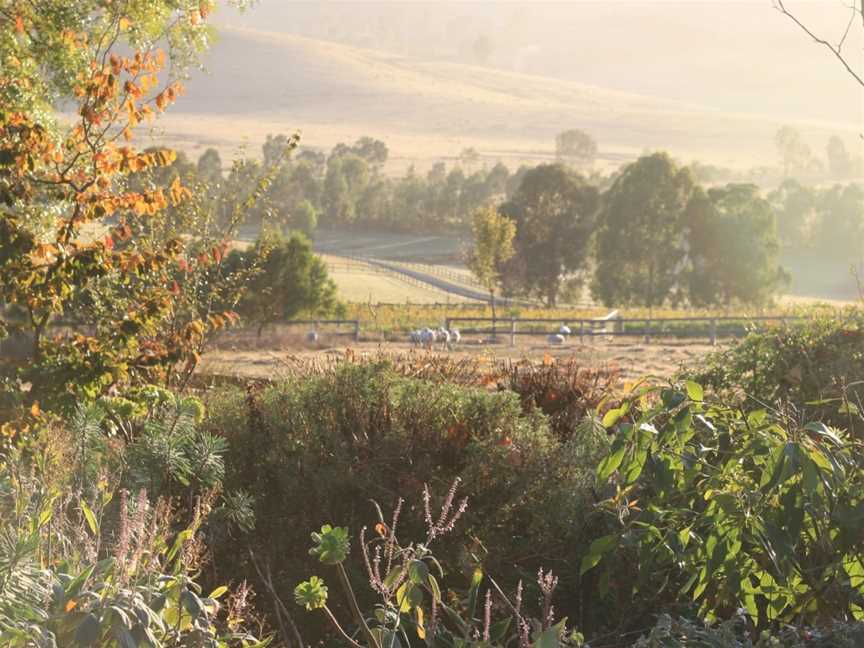 Tarrahill., Wineries in Yarra Glen