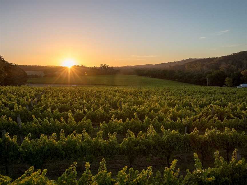 Thousand Candles, Gruyere, Victoria