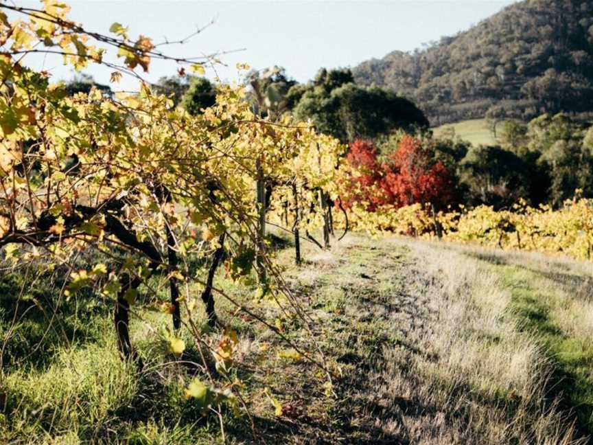 Valente Wines, Yackandandah, Victoria