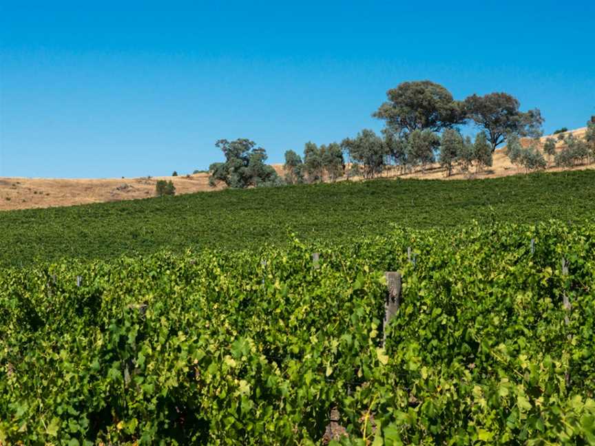 Vinea Marson, Wineries in Heathcote