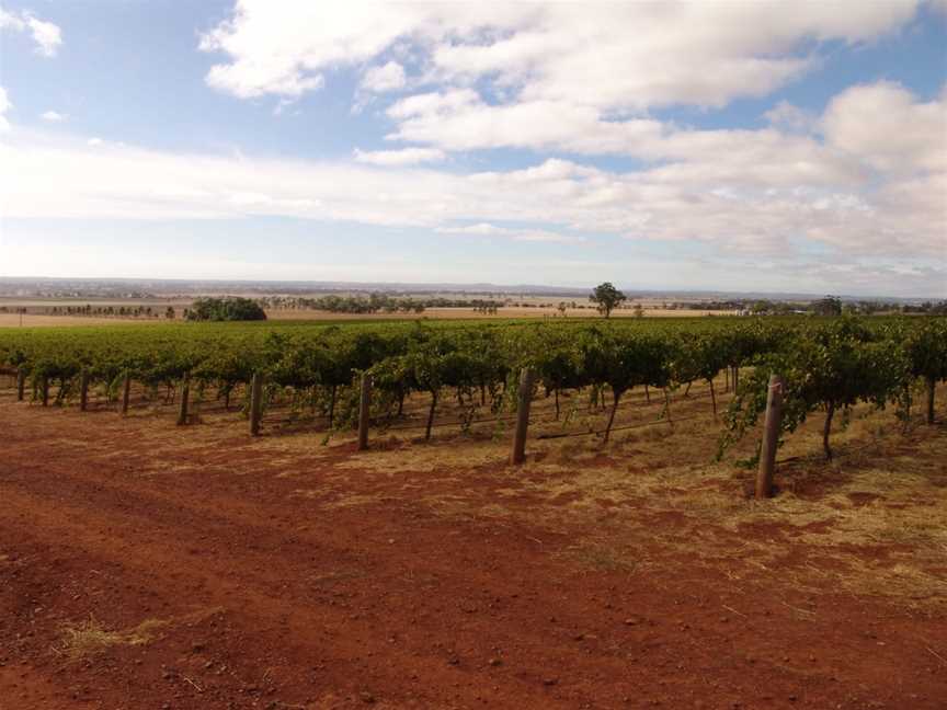 Whistling Eagle Vineyard, Wineries in Colbinabbin