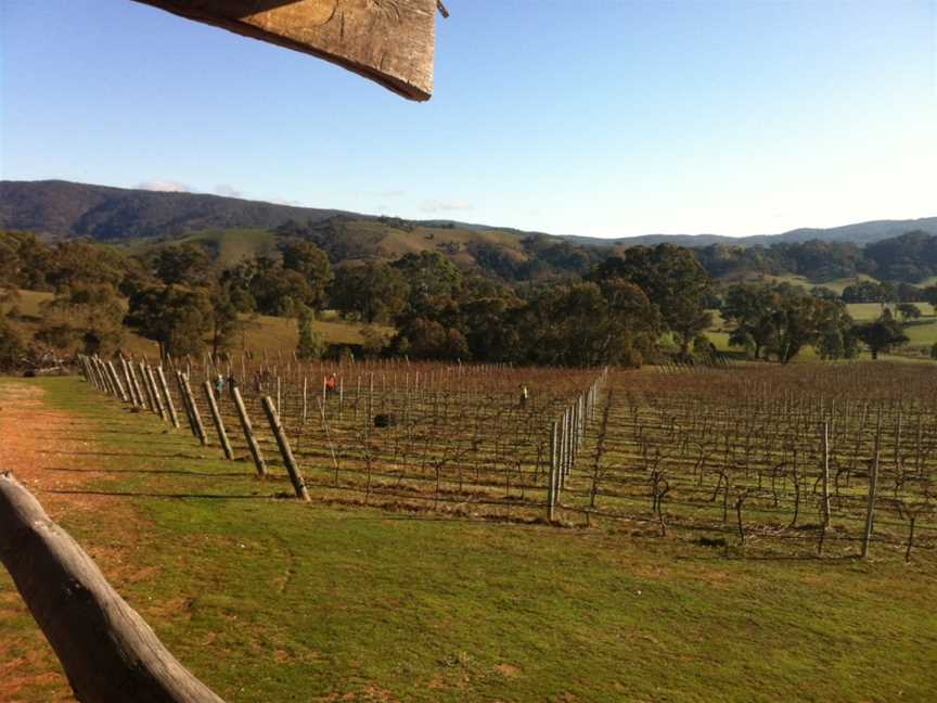 Wimmera Hills, Glenpatrick, Victoria