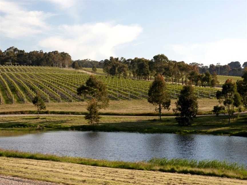 Yabby Lake Vineyard, Tuerong, Victoria