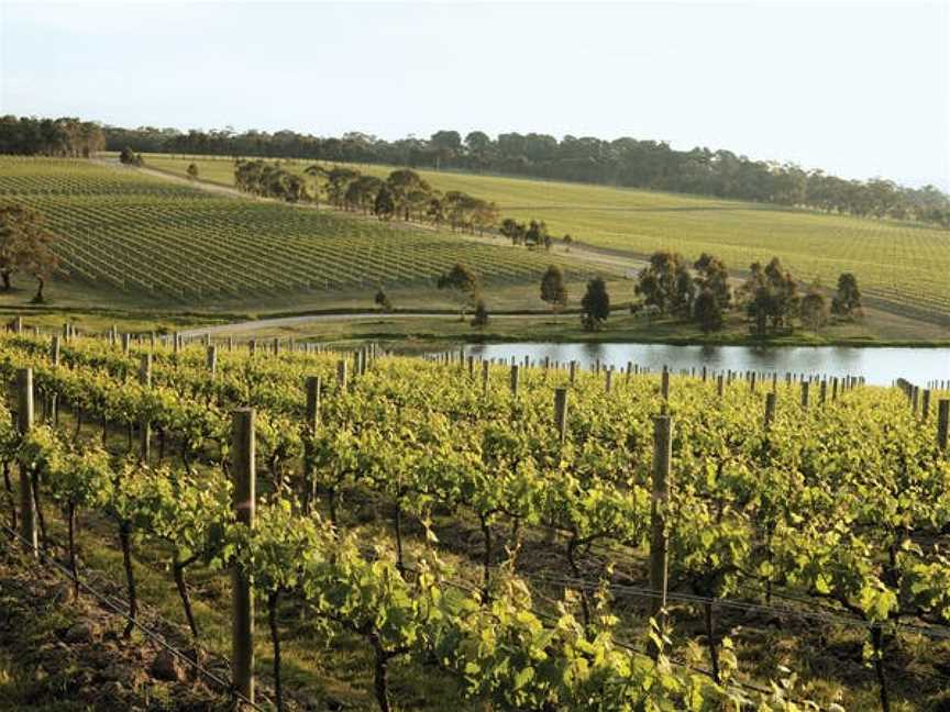 Yabby Lake Vineyard, Wineries in Tuerong