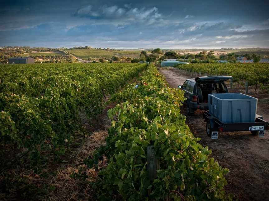 Bellevue Estate, McLaren Vale, South Australia