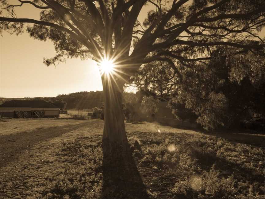 Bondar Wines, McLaren Vale, South Australia