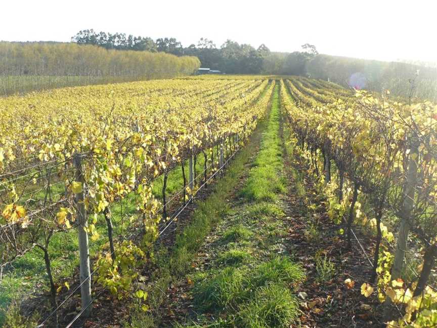 Caroline Hills Winery, Yahl, South Australia