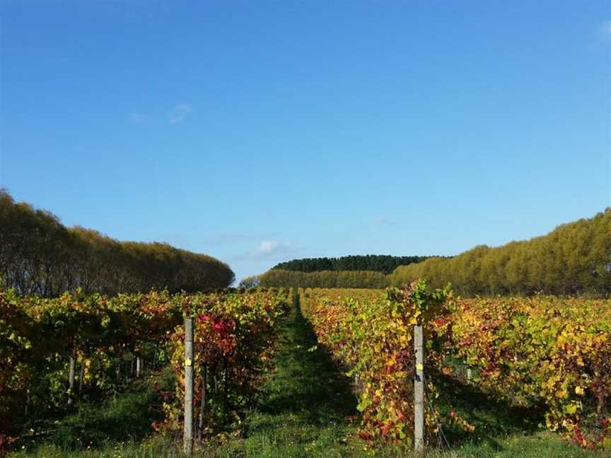 Caroline Hills Winery, Yahl, South Australia