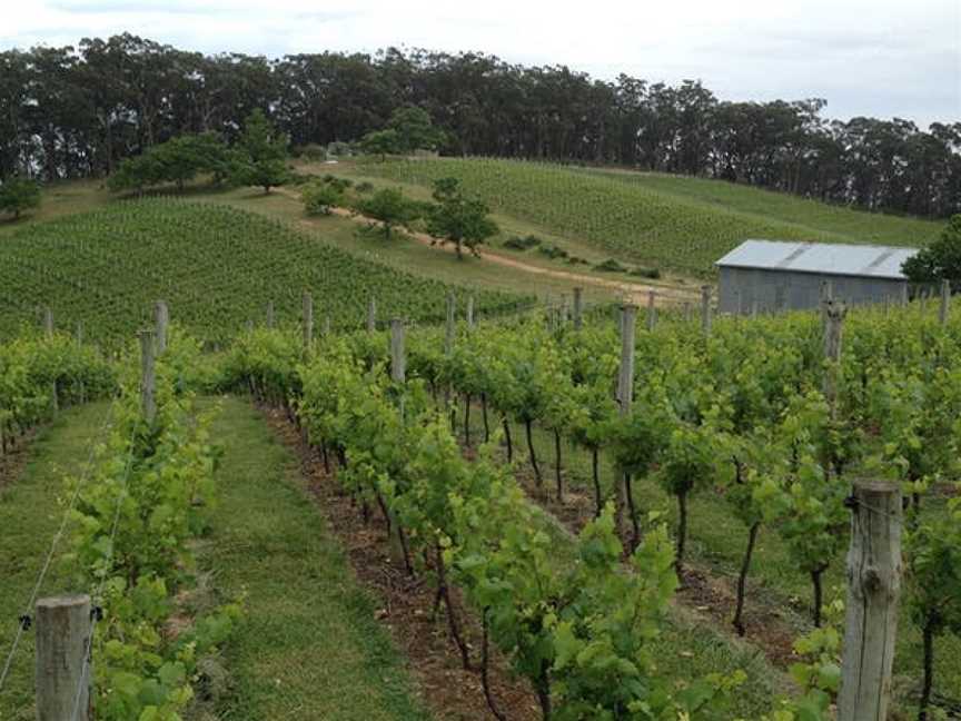 Casa Freschi, Ashton, South Australia