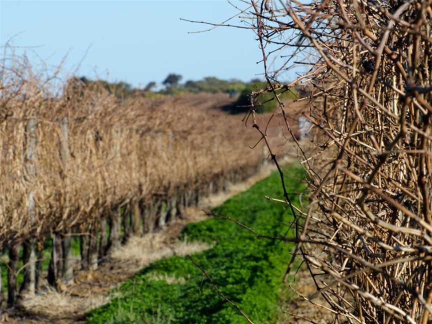 Cirami Estate, Monash, South Australia