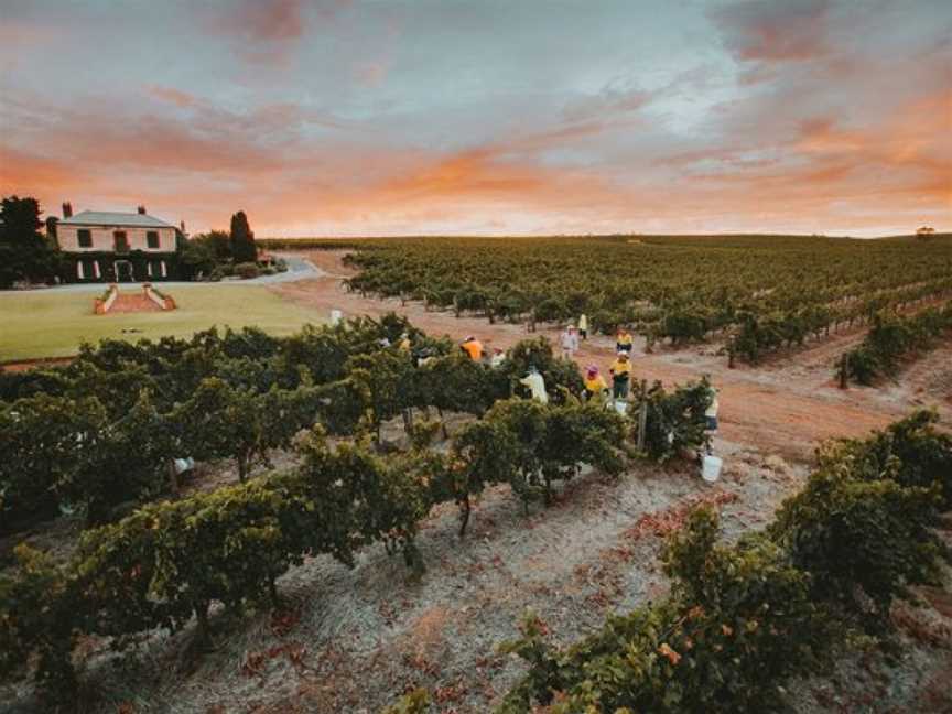 Clos Clare, Watervale, South Australia