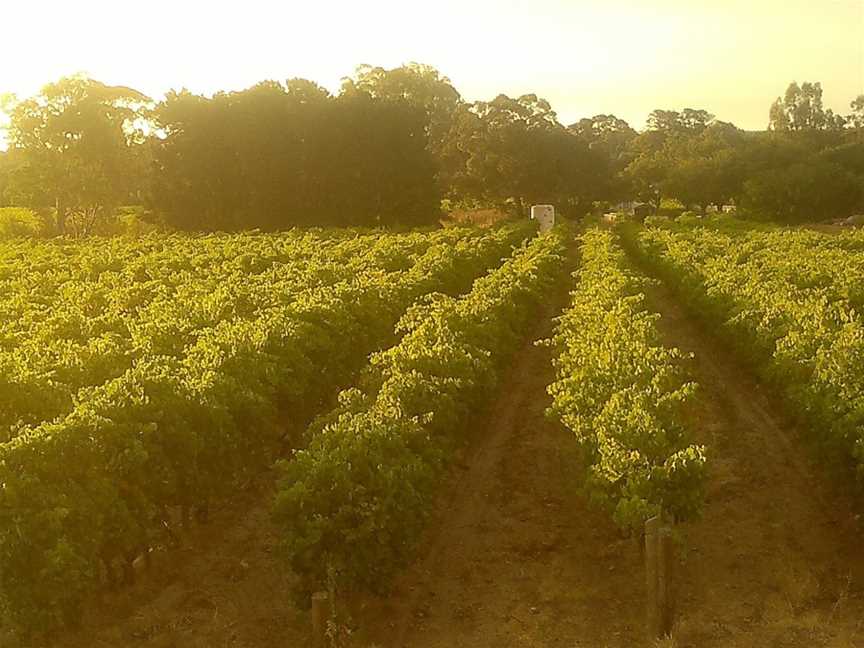 Conte Estate Wines, McLaren Flat, South Australia