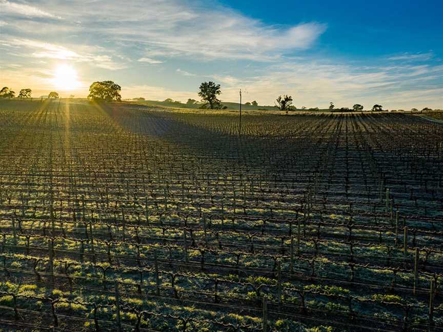 Corryton Burge, Tanunda, South Australia